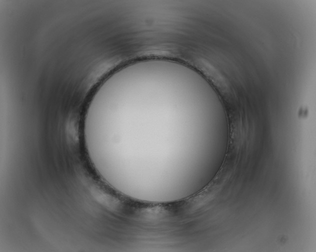 X0000092240112200709281132