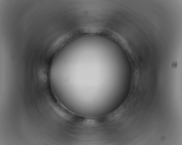 X0000092240114200709281132