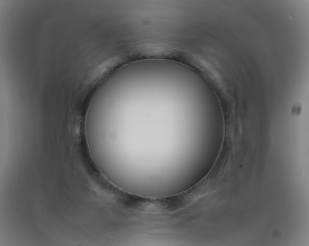 X0000092240115200709281132