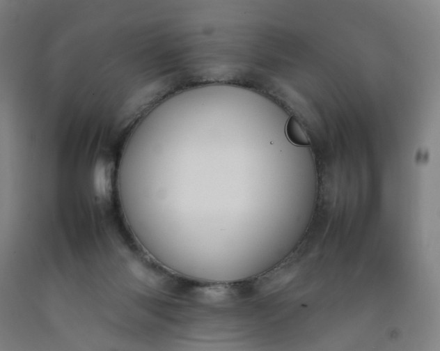 X0000092240118200709281132