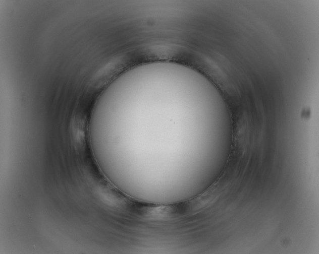 X0000092240122200709281132