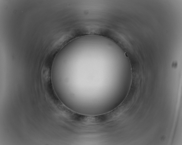 X0000092240123200709281132