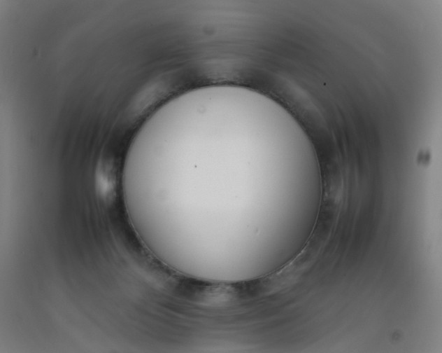 X0000092240124200709281132