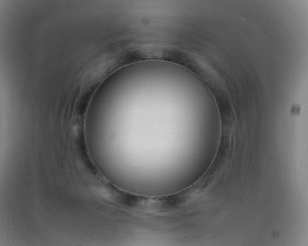 X0000092240125200709281132