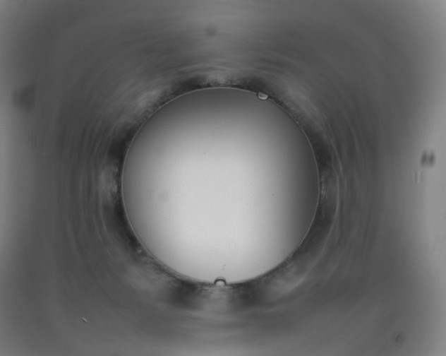 X0000092240127200709281132