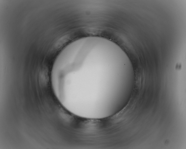 X0000092240128200709281132