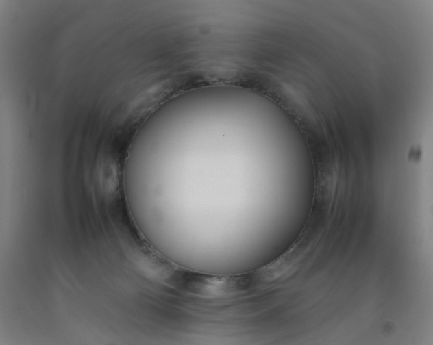 X0000092240130200709281132