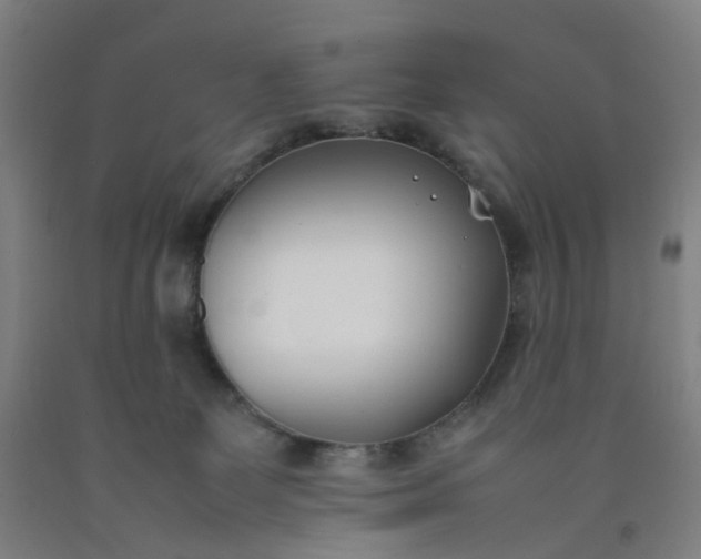 X0000092240131200709281131