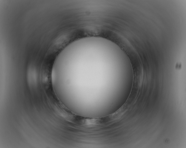 X0000092240134200709281131