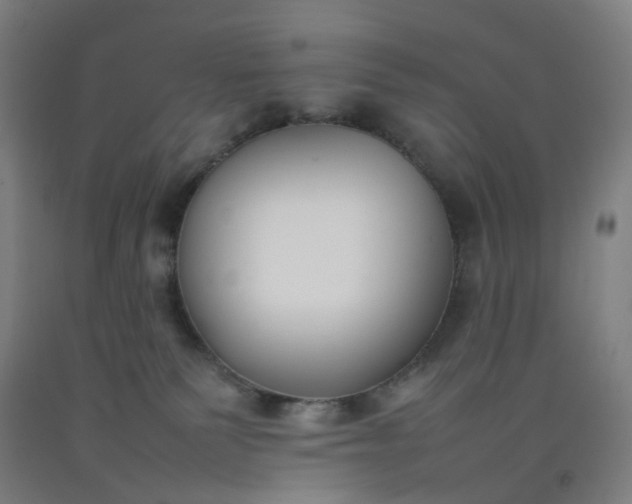 X0000092240135200709281131