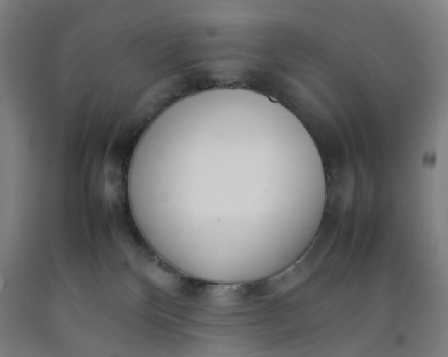 X0000092240136200709281131