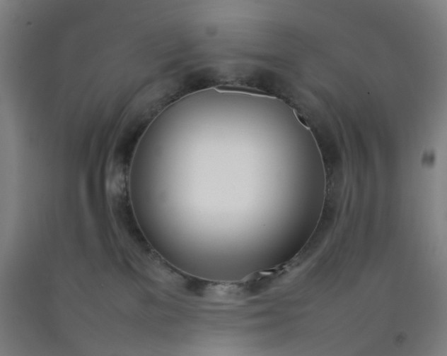 X0000092240137200709281131