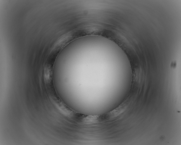 X0000092240138200709281131