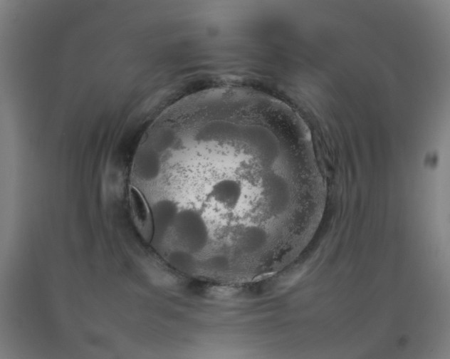 X0000092240139200709281131