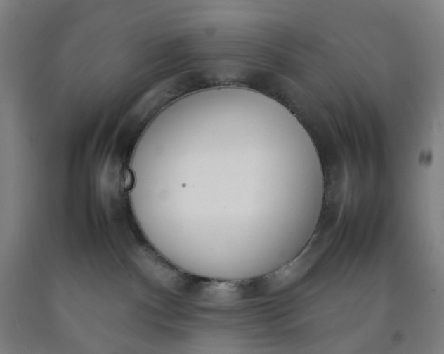 X0000092240140200709281131