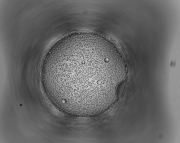 X0000092240145200709281131