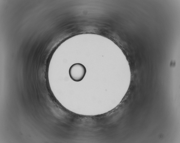 X0000092240146200709281131