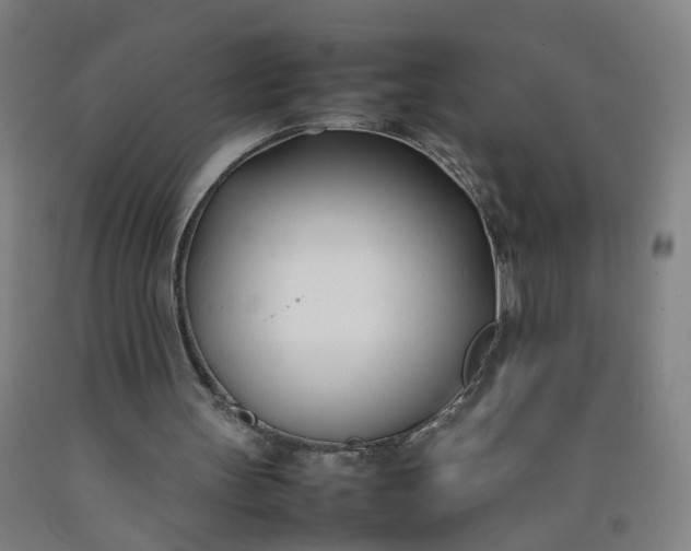 X0000092240147200709281131