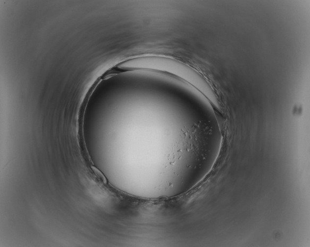 X0000092240148200709281131