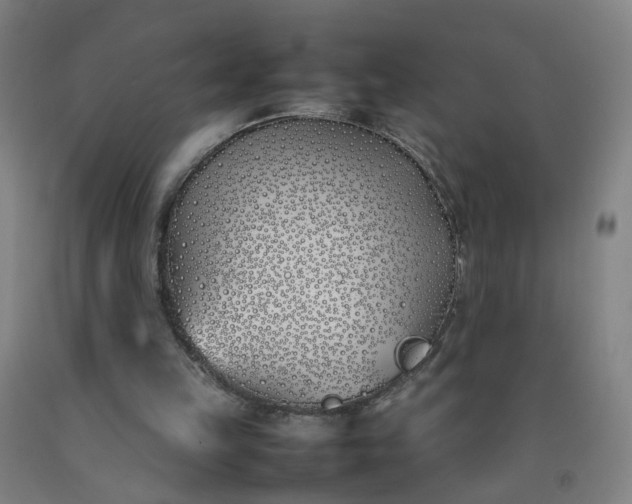 X0000092240149200709281131