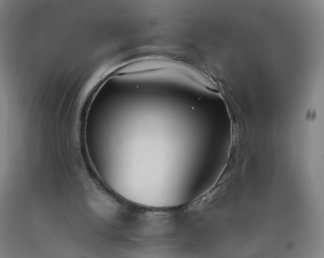 X0000092240150200709281131