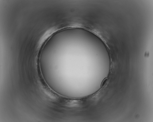 X0000092240151200709281131