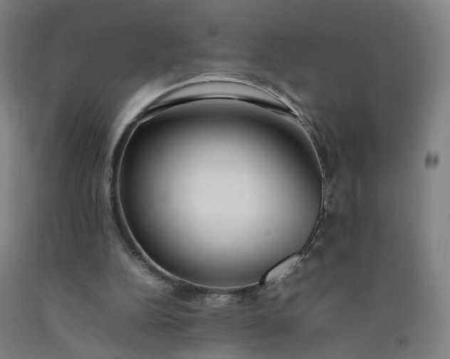 X0000092240152200709281131