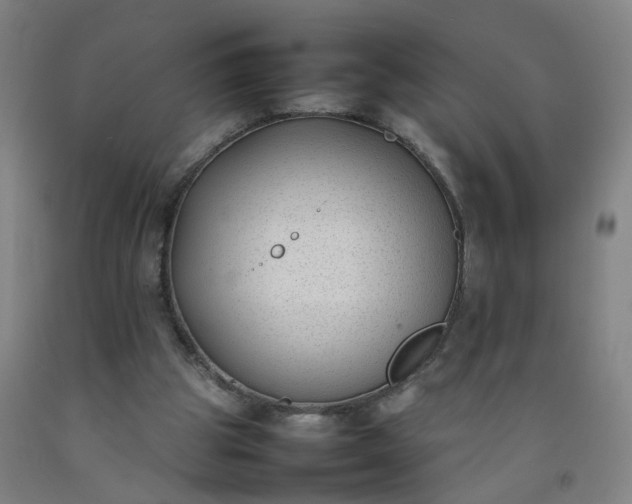 X0000092240153200709281131