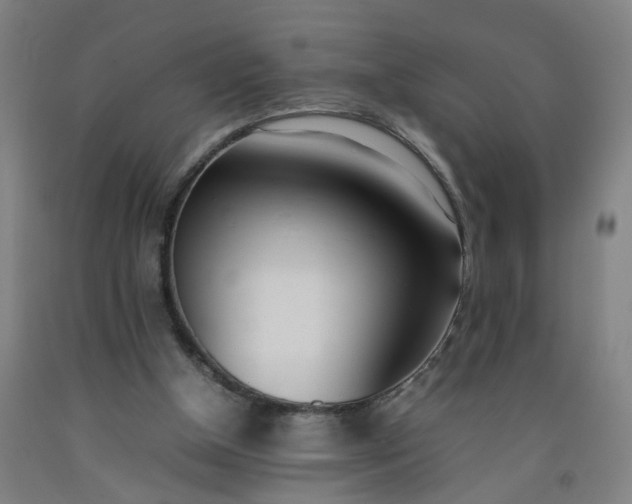 X0000092240154200709281131