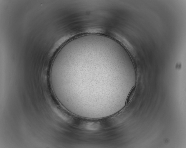 X0000092240155200709281131