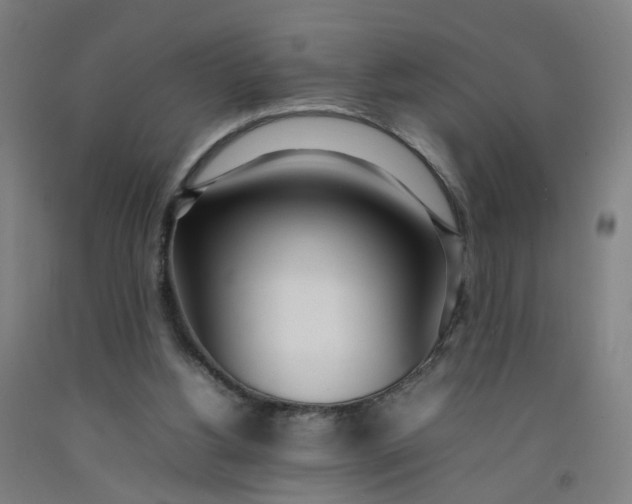 X0000092240156200709281131