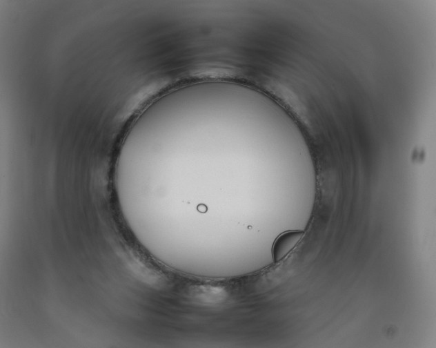 X0000092240159200709281131