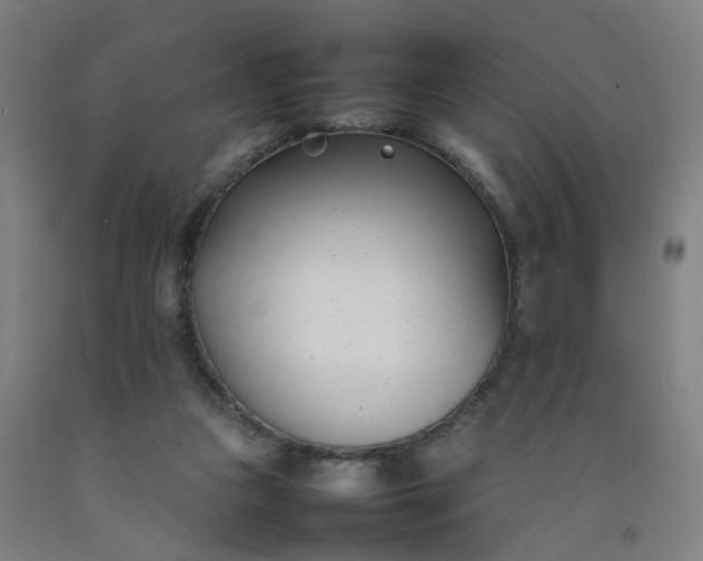 X0000092240161200709281131