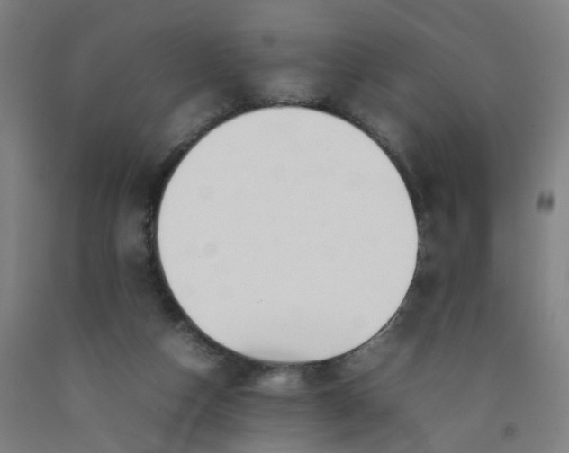 X0000092240162200709281131