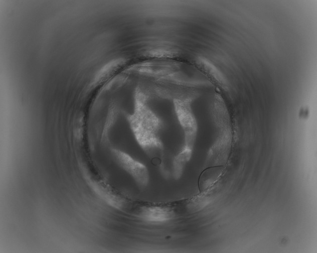 X0000092240163200709281131