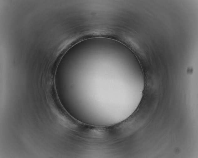 X0000092240164200709281131