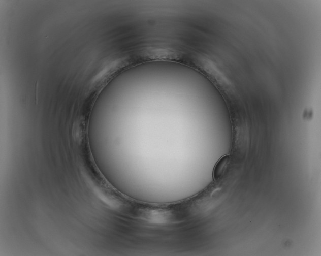 X0000092240165200709281131