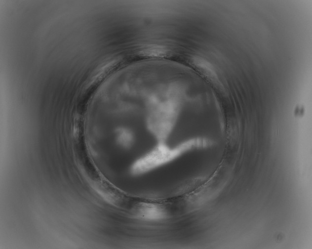 X0000092240167200709281131