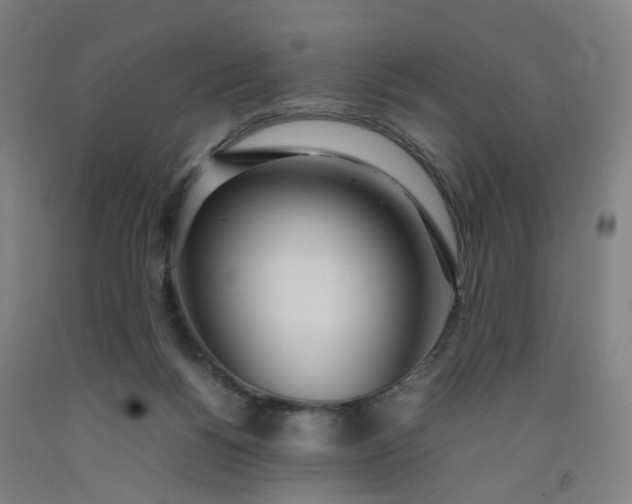 X0000092240168200709281131