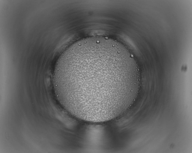 X0000092240169200709281131