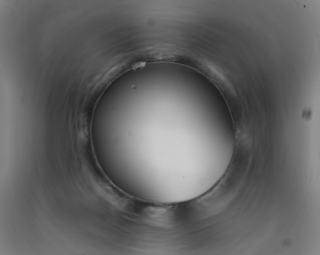 X0000092240170200709281131