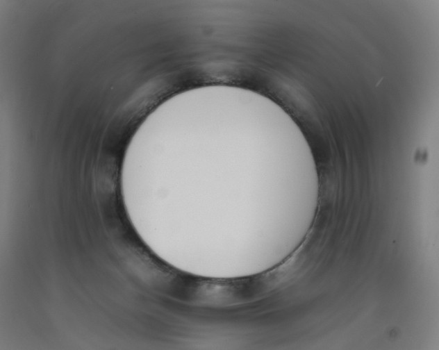 X0000092240174200709281131