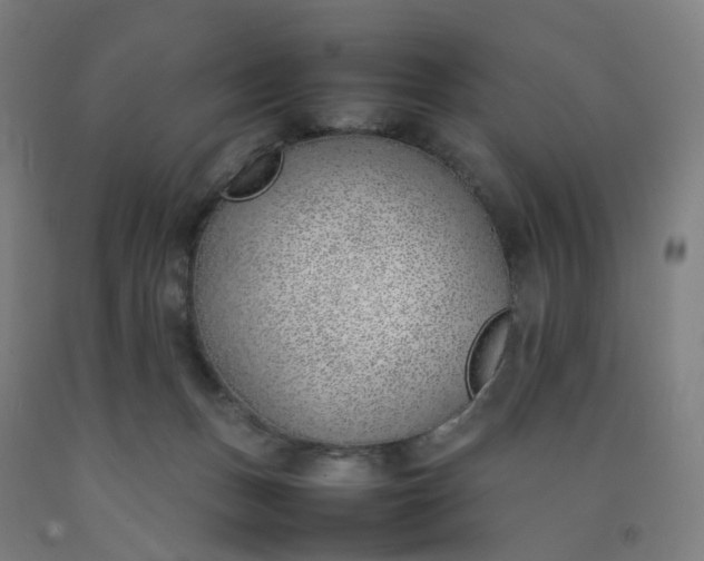 X0000092240175200709281131