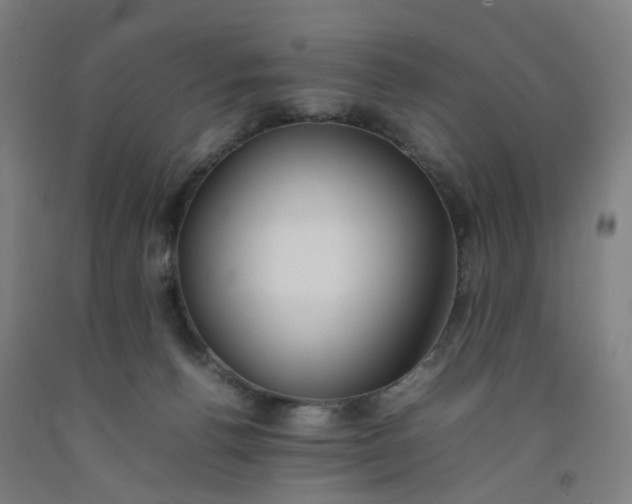 X0000092240176200709281131