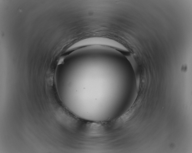 X0000092240180200709281131