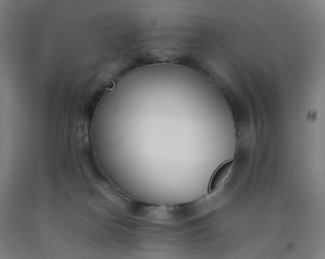 X0000092240182200709281131