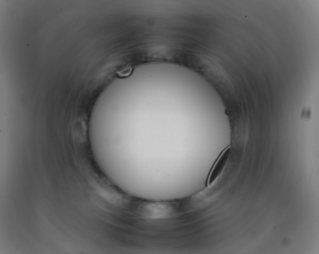 X0000092240183200709281131