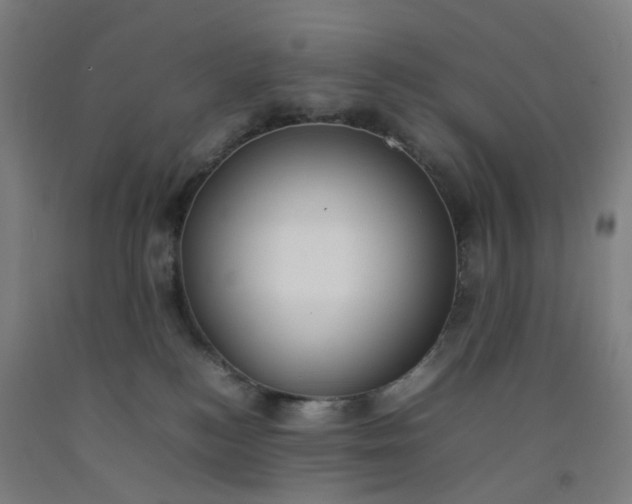 X0000092240184200709281131