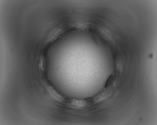 X0000092240185200709281131