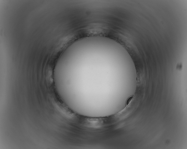 X0000092240187200709281131